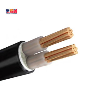 常顺鑫 低压铜芯电缆ZC-YJV2×25 米