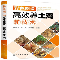 [M]彩色图说高效养土鸡新技术-9787122349903