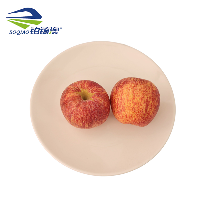 铂锜澳 圆形陶瓷浅盘10个装/件