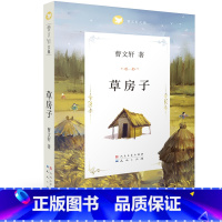 草房子 [正版]草房子曹文轩原著系列 儿童文学 8-9-12周岁三四五六年级小学生课外书经典书目书籍全套小说读物 天天出