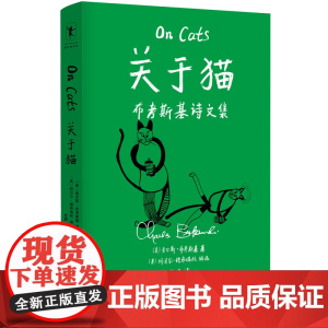 关于猫