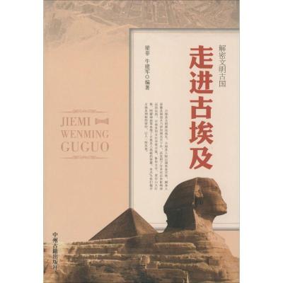 正版新书]走进古埃及无9787534842412