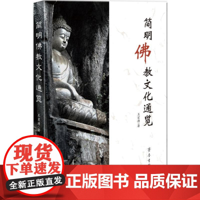 简明佛教文化通览 佛教宗教文化的全面介绍含佛教发展史佛教宗派佛教艺术佛教与文学等佛教文化书籍