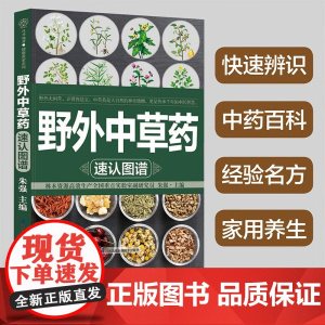 野外中草药速认图谱 朱强 编著 医学