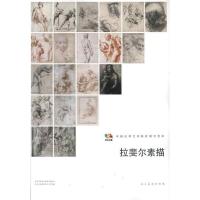 正版新书]范本传真:拉斐尔素描人民美术出版社9787102058450