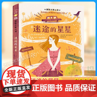 迷途的星星 大奖小说 经典儿童文学童书奖 2022广东读一本好书暑假阅读 小学生三四五六年级课外书新蕾出版社正版