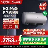 AO史密斯电热水器60升 国家补贴 80吨长效净水洗 免清洗 3kW变频速热 金圭特护 短款 E60ED6 -B
