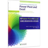 正版新书]用Power Pivot和Excel创建仪表板和财务分析报告卡斯珀