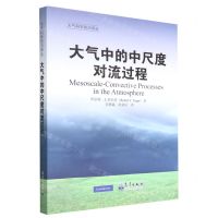 [N]大气中的中尺度对流过程/大气科学前沿译丛-9787502977481