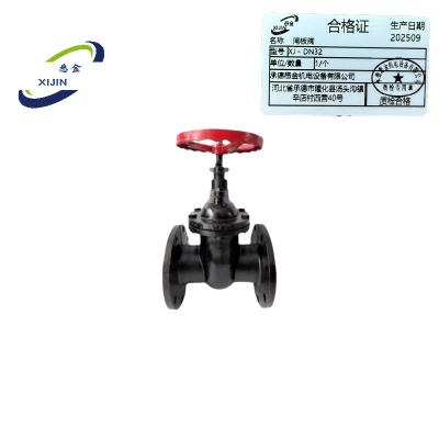 悉金 闸板阀 XJ - DN32 个