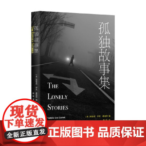 孤独故事集 娜塔莉·伊芙·嘉瑞特 著 小说