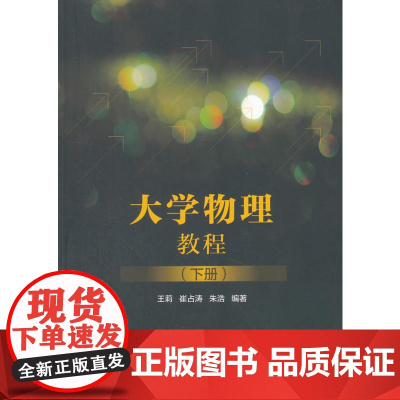 大学物理教程(下册)
