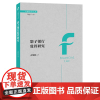 2021新 影子银行监管研究 孟翔韬著 法律出版社