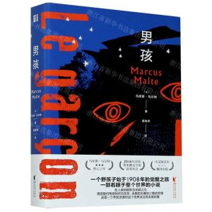 [N]男孩-9787533959371