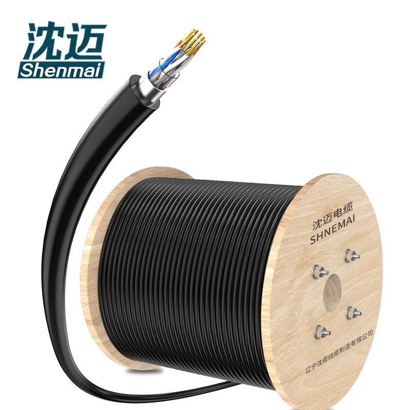 沈迈 室外大对数通信线缆 HYA-100*2*0.5(1米)