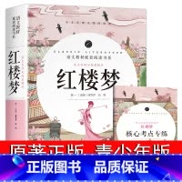 [829页]红楼梦(送考点手册) [正版]汤姆索亚历险记 原著六年级完整版小学版必读课外书人民6年级青少年初中生课外阅读