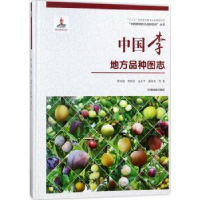 音像中国李地方品种图志曹尚银等著