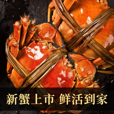 苏州精品大闸蟹鲜活六月黄螃蟹河蟹3两10只装公母随机大螃蟹鲜甜满黄直达到家死蟹包赔