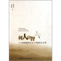 音像树人启智:彭树智先生八十华诞纪念文集黄民兴,王铁铮