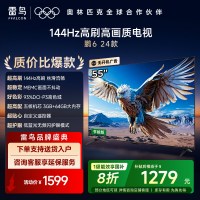 雷鸟 鹏6 24款 55英寸 4K超薄全面屏 远场语音 3+64GB 智能液晶平板游戏教育电视机55S375C-JN