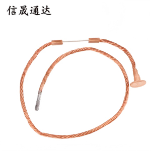 信晟通达 纽扣式熔丝 10A 根