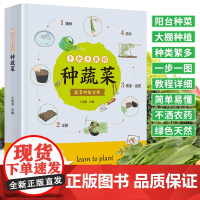 手把手教你种蔬菜 图说蔬菜栽培技术 蔬菜栽培种植技术大全书籍 种菜栽培实用手册 蔬菜种植技术室内室外的私家菜园 蔬菜种植