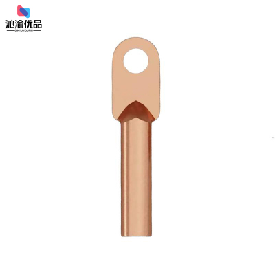 沁渝优品 铜鼻子 DT-25平方 个