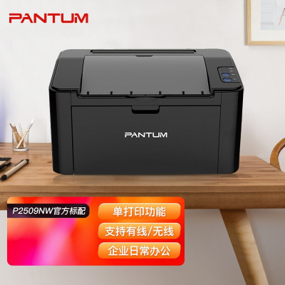 奔图(PANTUM)P2500NW A4黑白激光单功能打印机无线WIFI网络手机平板无线连接企业家庭家用办公打印机高效打印机机身小巧 打印机替代P2206NW