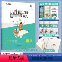 [22版 一飞冲天小升初]全程总复习(语文) 小学升初中 [正版]2024新天津专版一飞冲天小升初语文数学英语专项训练全