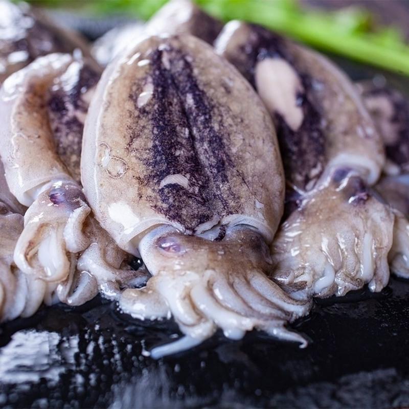 赛卡伊 小墨鱼无冰新鲜速冻海鲜乌贼鱼墨斗鱼目鱼墨鱼仔带墨汁1斤约12