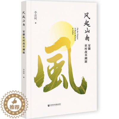 [醉染正版]风起山南 李嘉树 9787520178495 社会科学文献出版社