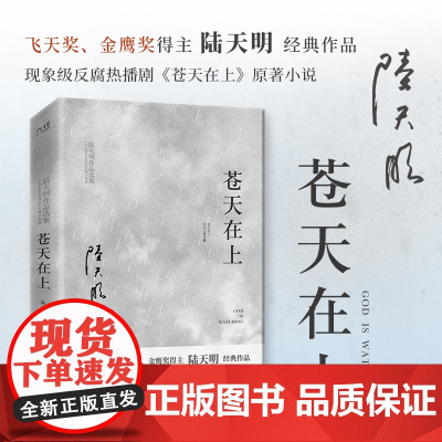 苍天在上(国家图书奖、飞天奖、金鹰奖得主陆天明经典作品,反腐题材电视剧《苍天在上》原著小说)