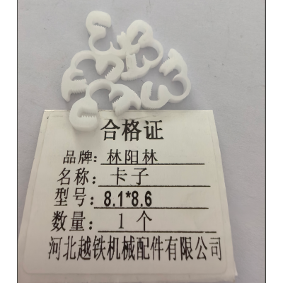 林阳林 卡子 8.1*8.6 个