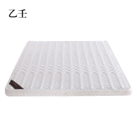 乙壬椰棕床垫家用棕垫B8cm厚(防螨针织+0胶水天然椰棕)1500mm*2000mm