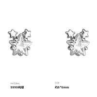 999纯银星星闪亮耳钉女耳环耳饰简约气质高级感时尚新款潮送女朋友老婆情人节七夕生日礼物