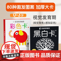 共2册 海润阳光 宝宝视觉激发:黑白卡1+彩色卡1 0-3岁婴幼儿早教启蒙 逻辑思维训练 幼儿园小班中班大班 孩子早教学