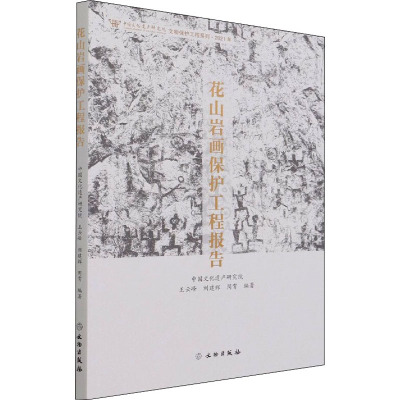 花山岩画保护工程报告