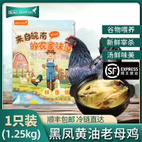 [苏鲜生推荐]雀淘 皖南黑凤黄油老母鸡2.6-2.9斤/只 1只装 新鲜现杀冷冻净膛慢养走地鸡