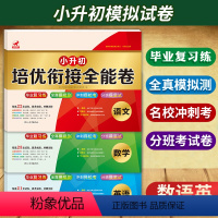 小升初语数英试卷 小学通用 [正版]小升初衔接培优模拟试卷 语文数学英语全套 小升初6年级真题卷子 六年级升七年级中名校