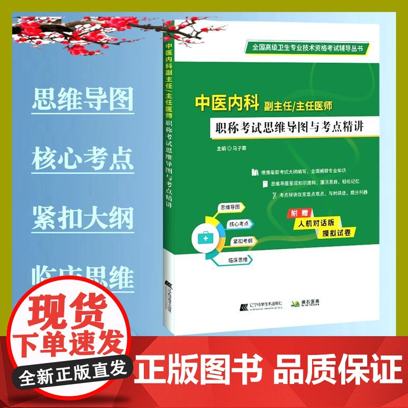 正品 中医内科副主任 主任医师职称考试思维导图与考点精讲 马子霖主编高级卫生专业技术资格考试辽宁科学技术出版社 医学考试
