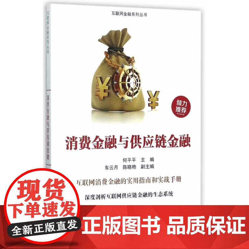 消费金融与供应链金融/互联网金融系列丛书