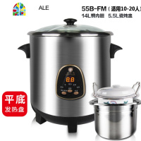 电炖煲不锈钢炖锅隔水电炖盅煮粥煲汤锅全自动家用商用 FENGHOU 6升多功能全钢+无炖盅(3-5人)