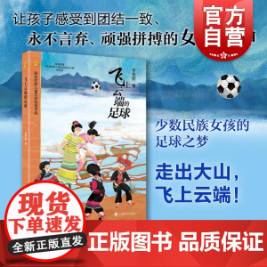 飞上云端的足球 陈伯吹新儿童文学桂冠书系李艳丽著上海译文出版社少数民族女足精神 你是水晶冬天葡萄和鸟/会跳舞的狼/神手小