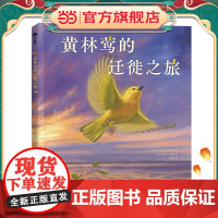 黄林莺的迁徙之旅