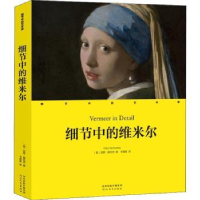 音像细节中的维米尔:::(美)加里·施瓦茨