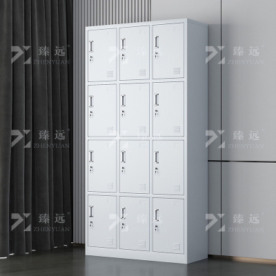 臻远ZY-GYGB-9铁皮更衣柜员工储物柜工厂寄存包柜鞋柜碗柜 12门更衣柜