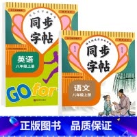 语文+英语[人教版]2本 六年级下 [正版]六七八年级语文正楷字帖上册下册同步人教版英语衡水体初一练字帖贴小升初中学生初