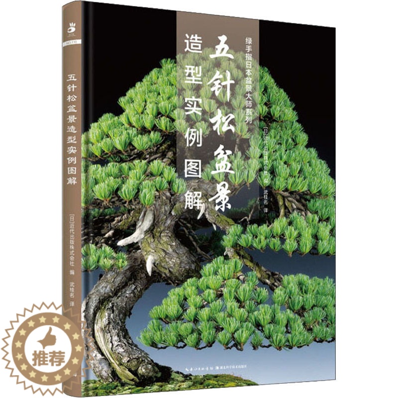 [醉染正版]五针松盆景造型实例图解 湖北科学技术出版社 (日)近代出版株式会社 编 武桂名 译 养花书籍