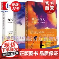 胡赛尼经典作品套装系列共3册 追风筝的人/群山回唱/灿烂千阳 外国文学历史情感书籍 上海人民出版社世纪出版