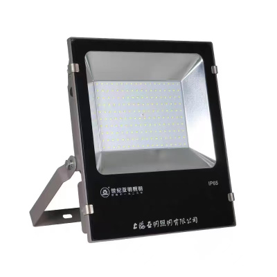 亚牌(新月系列) LED泛光灯 FG55b 个